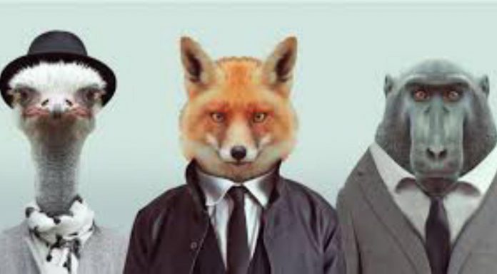 Les limites de l’antispécisme