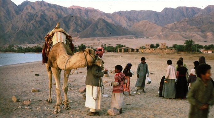 Les Bédouins d’Israël à l’épreuve de la modernisation