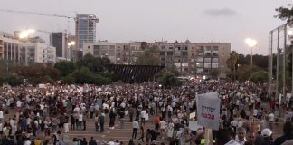 « Les Druzes en Israël ont des privilèges, plutôt que des droits »