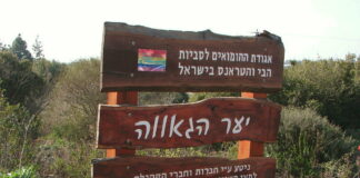 « Il y a une communauté LGBT, parce qu’il y a un combat commun contre un modèle hétérosexuel dominant »