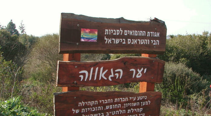 « Il y a une communauté LGBT, parce qu’il y a un combat commun contre un modèle hétérosexuel dominant »