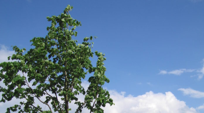 Le syndrome israélien de l’Union Européenne